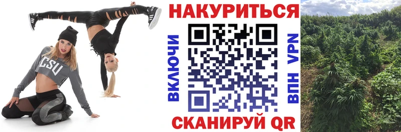 МАРИХУАНА ГИДРОПОН  закладка  Карачев 